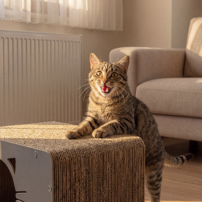 Kedi Tırmalama Evi — Ahşap & Karton, Oyun + Dinlenme