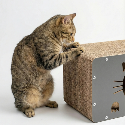 Kedi Tırmalama Evi — Ahşap & Karton, Oyun + Dinlenme