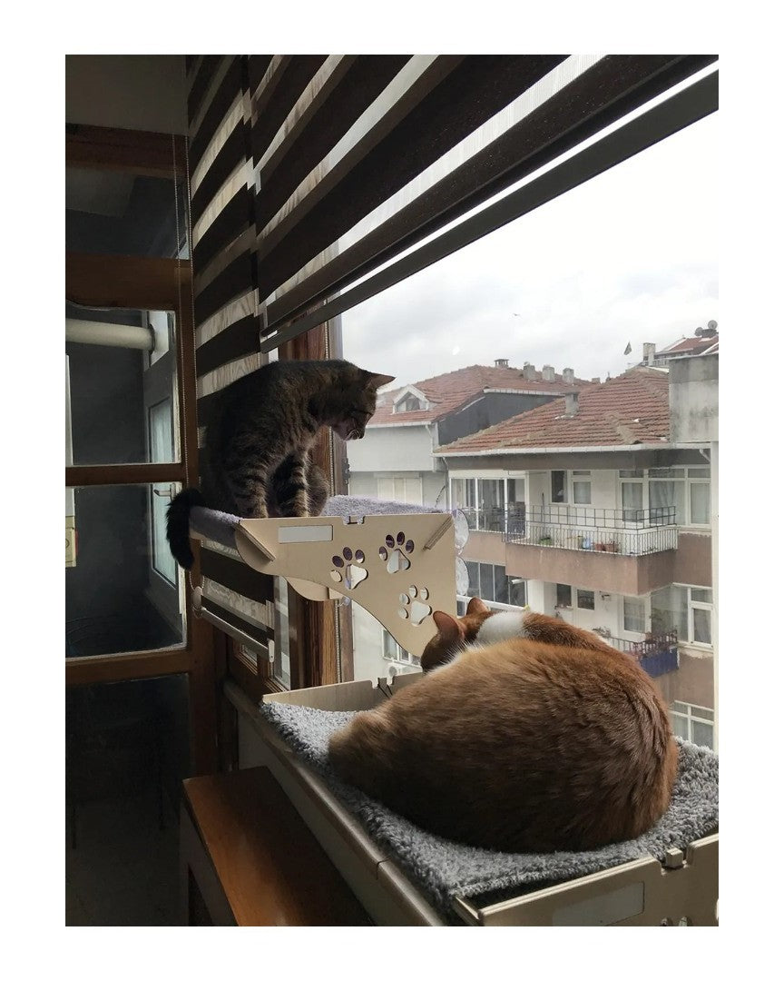 Kedi Yatağı
