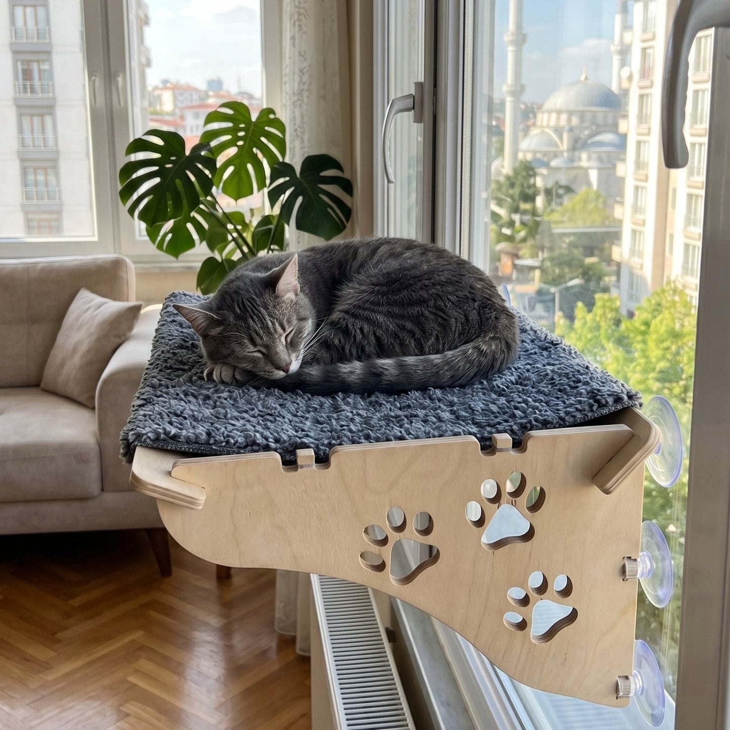 Vantuzlu Kedi Yatağı