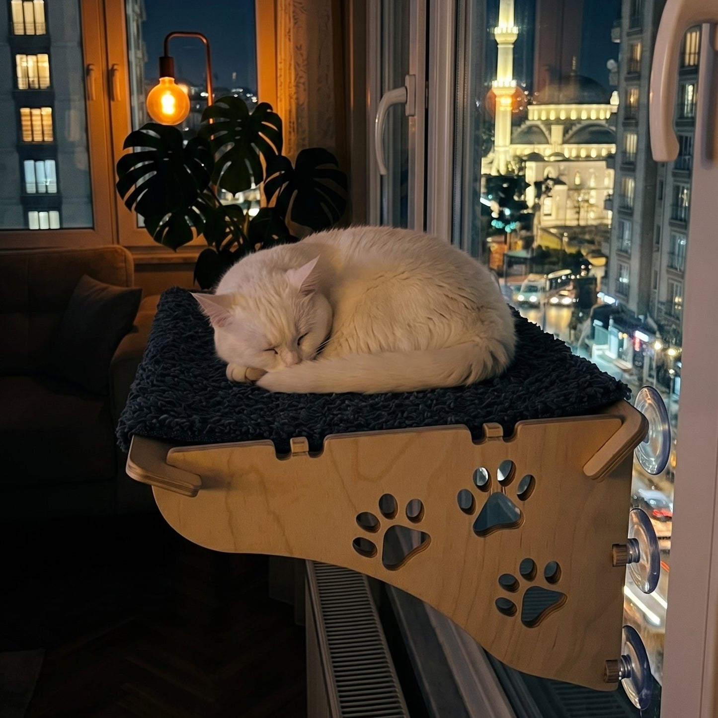 Vantuzlu Kedi Yatağı