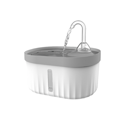 Patila Su Pınarı ve Filtre