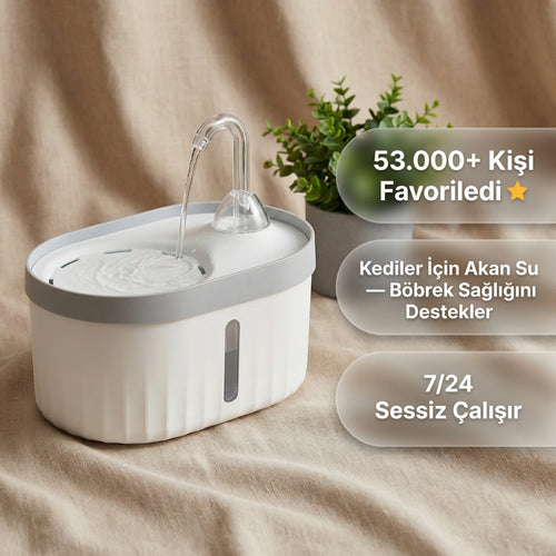 Patila Su Pınarı — Filtreli, Sessiz Motor