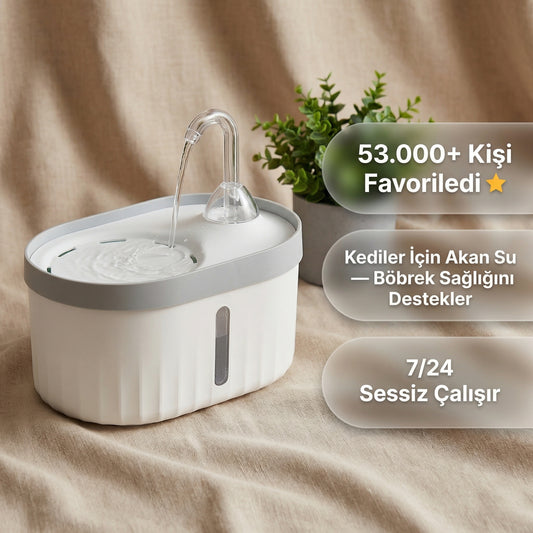 Patila Su Pınarı — Filtreli, Sessiz Motor