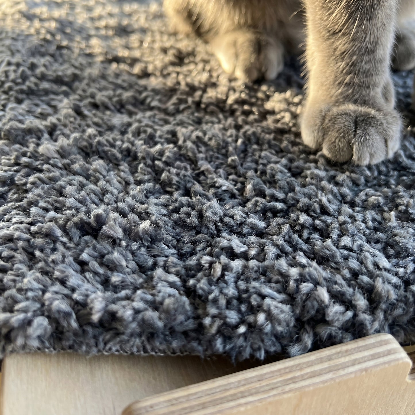 Vantuzlu Kedi Yatağı